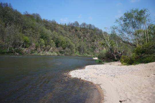 petite plage en bord de loire